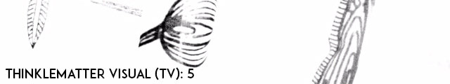 Thinklematter 5