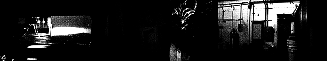 Diary of a Wolfman